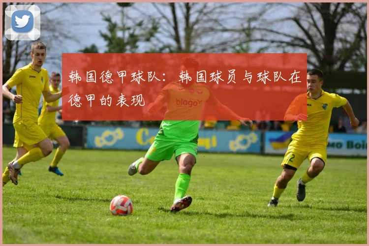 韩国德甲球队：韩国球员与球队在德甲的表现